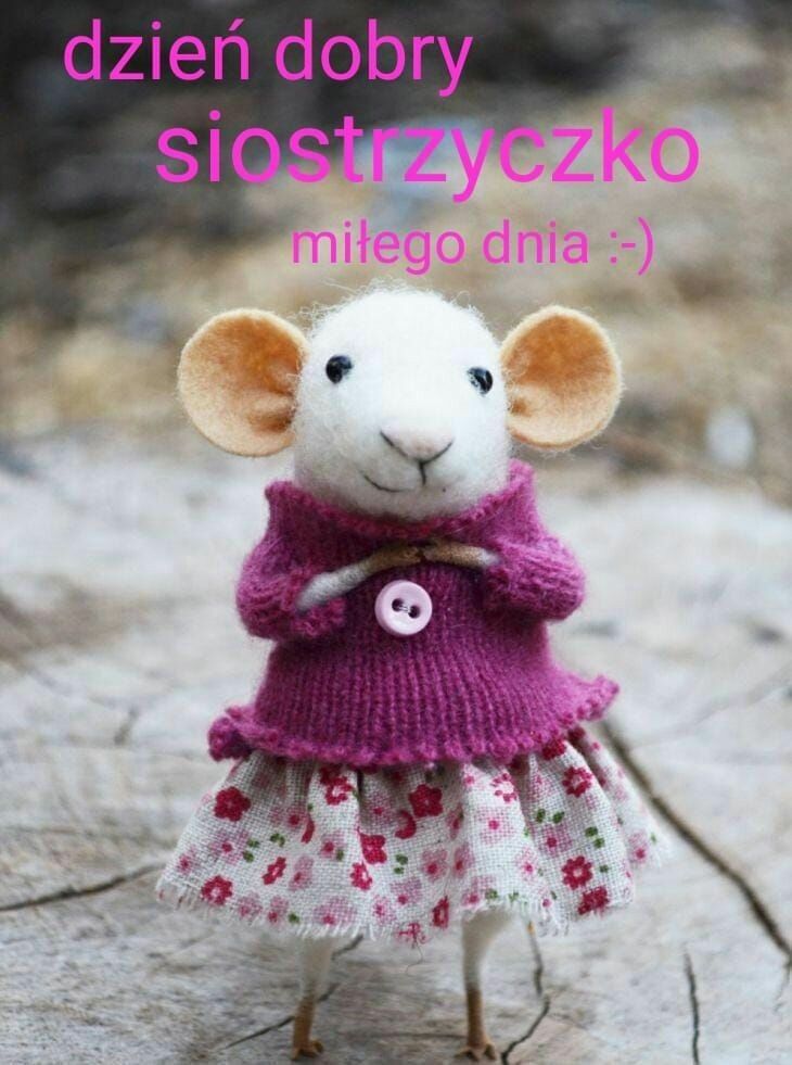 Myszka Dzień Dobry siostrzyczko